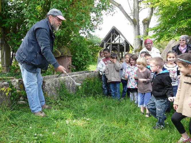 Le crapaud tombé dans le puits est sauvé par la classe
